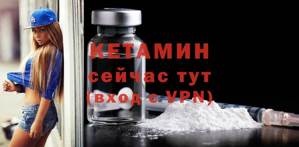 сатива Балахна