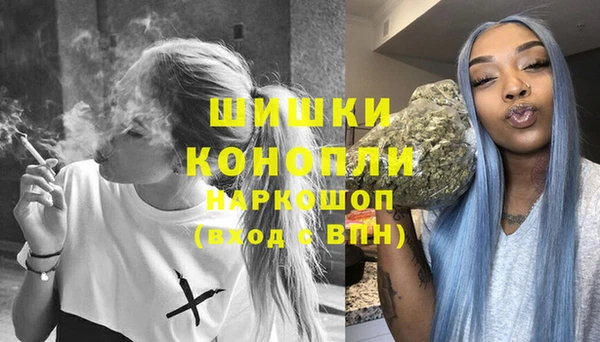 гидра Арсеньев