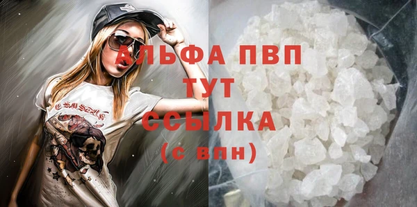 сатива Аркадак
