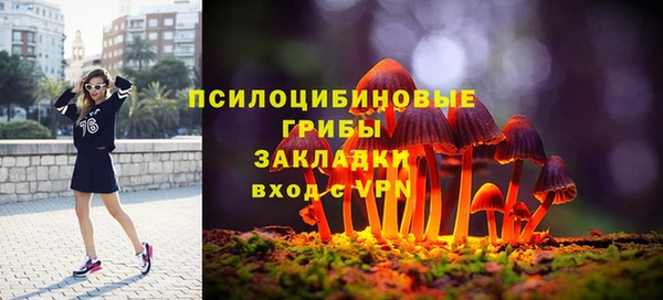 не бодяженный Семёнов