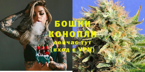 сатива Балахна